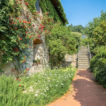 Bed and Breakfast Terre Di Baccio Greve in Chianti Exteriér fotografie