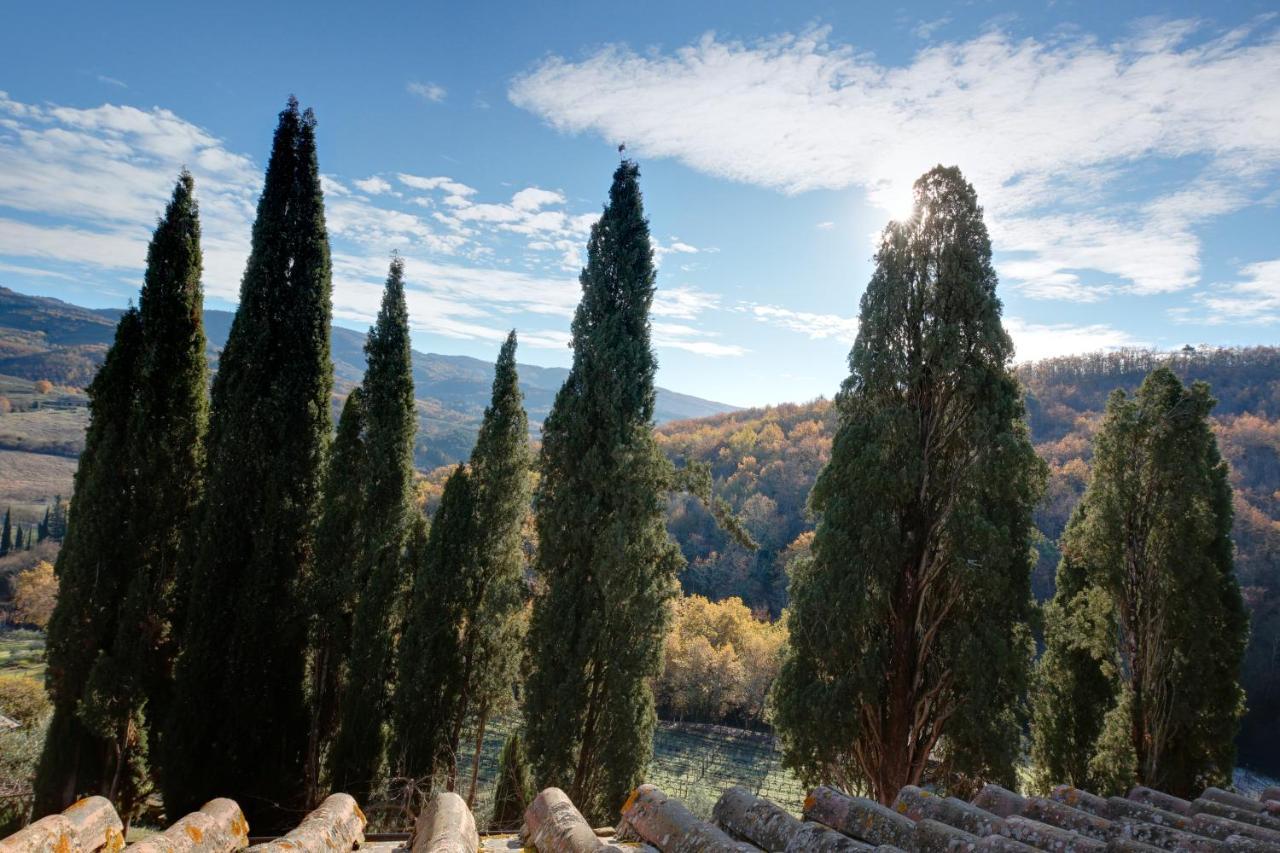 Bed and Breakfast Terre Di Baccio Greve in Chianti Exteriér fotografie