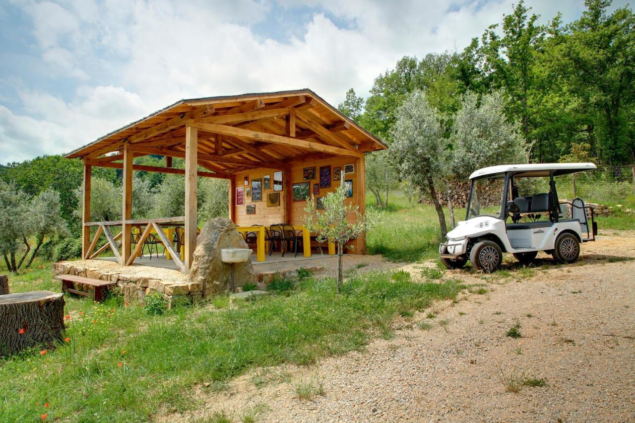 Bed and Breakfast Terre Di Baccio Greve in Chianti Exteriér fotografie
