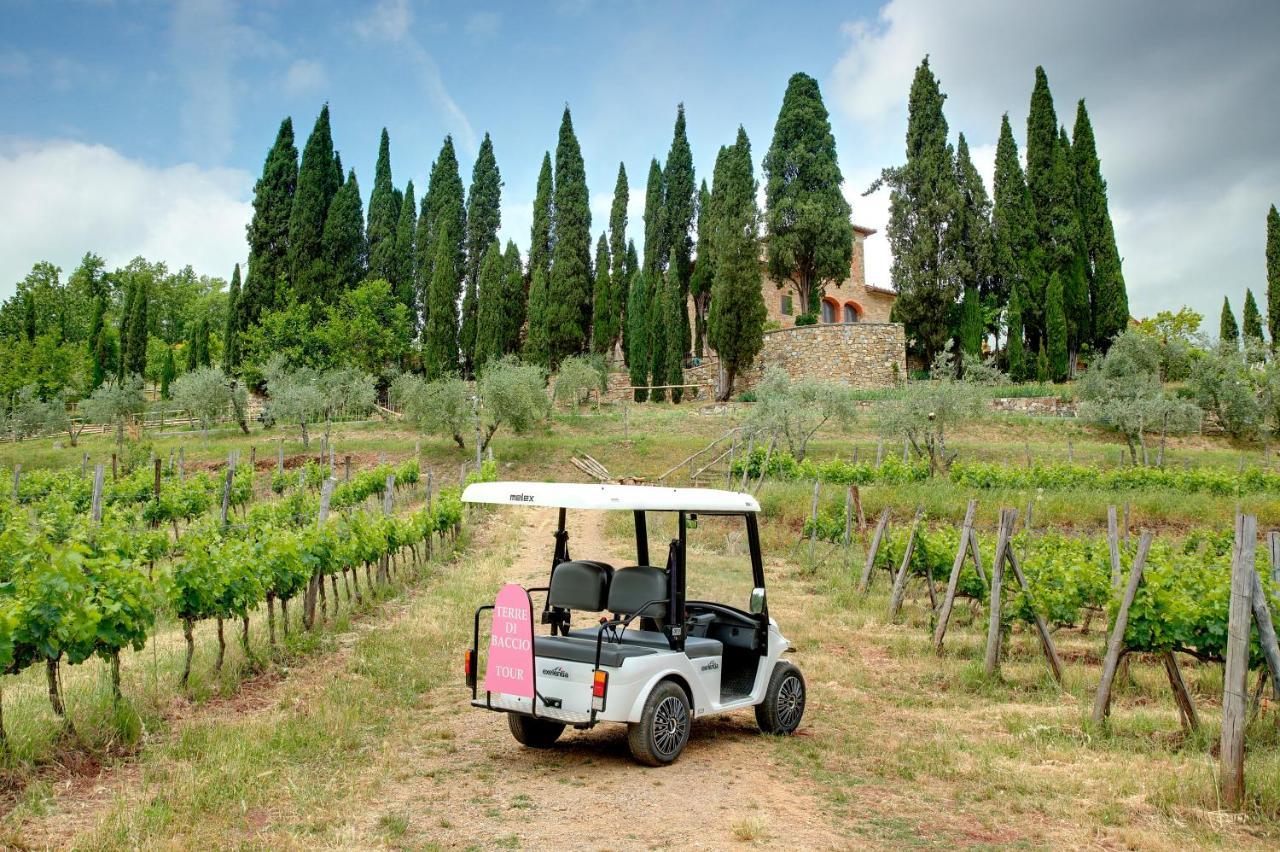 Bed and Breakfast Terre Di Baccio Greve in Chianti Exteriér fotografie