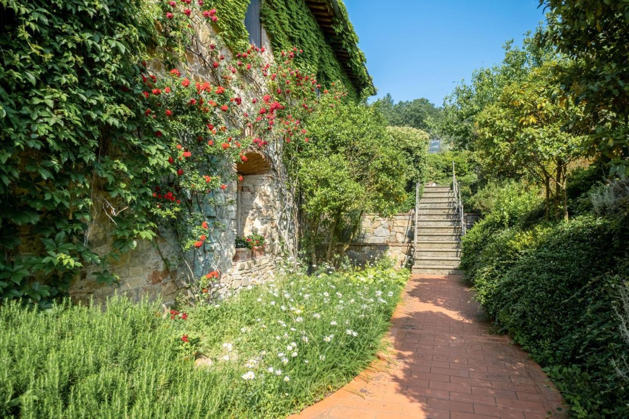 Bed and Breakfast Terre Di Baccio Greve in Chianti Exteriér fotografie