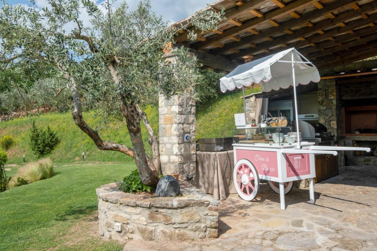 Bed and Breakfast Terre Di Baccio Greve in Chianti Exteriér fotografie